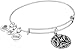 Alex and Ani Pisces Rafaelian Silver Bangle Bracelet