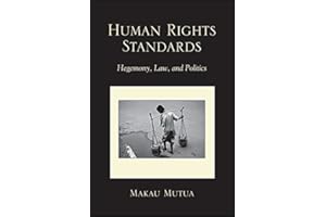 Human Rights Standards: Hegemony, Law, and Politics (SUNY series, James N. Rosenau series in Global Politics)