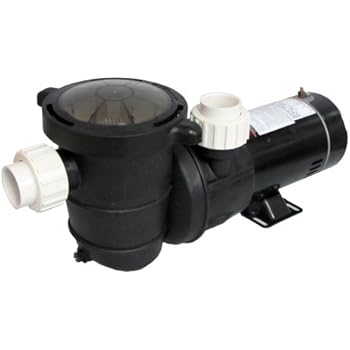 Amazon.com : Pentair Dynamo 1.5 Horsepower Above Ground