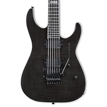 Esp E Ii M Ii Electric Guitar With Case See Thru Black Amazon In Musical Instruments