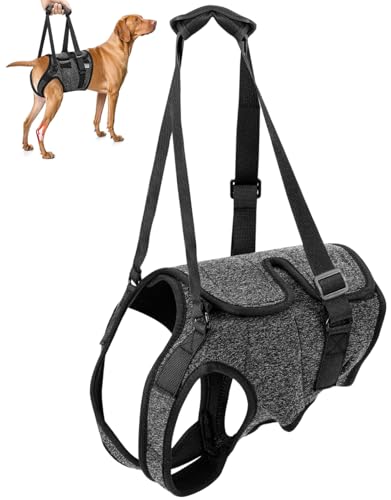 Suporte Auxiliar com Alça, para Cachorros, Respirável e confortável, Tecido macio, para Cachorro Cães Cão Displasia Deficiente, com Dificuldade Para Andar Pernas Traseiras