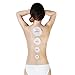 AntiCellulite Cup Vacuum Massage Cupping Therapy Set - Fascia Blaster for Body Only (Clear)
