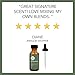 Pure Body Naturals - 100% Pure Rosemary Essential Oil, Steam-Distilled for Aromatherapy, Scalp Massage & DIY Blends, 1 Fl Oz