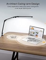 LED Desk Lamp with Clamp, Dual Light Desk Lamp for