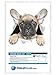 Winston & Bear 3D Dog Stickers - 2 Pack - Cute French Bulldog Sticker for Wall, Fridge, Toilet and More - Retail Packaged