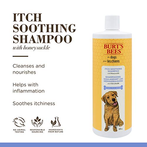 Burt's Bees for Dogs Natural Itch Soothing Shampoo with Honeysuckle | Anti-Itch Dog Shampoo for All Dogs with Dry, Itchy, Sensitive Skin | pH Balanced for Dogs - Made in the USA, 32 Ounces - 2 Pack