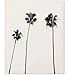 Palm Tree Print Palm Print Palm Tree Photography Black and White Palm Tree Tropical Wall Art Tropical Decor Wall Decor Black and White Palm Tree Black Palm Tree Minimalist 8x10