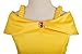 Dressy Daisy Toddler Girls' Princess Yellow Gold Ball Gown Birthday Party Fancy Dress Up Halloween Costume Size 2T to 3T