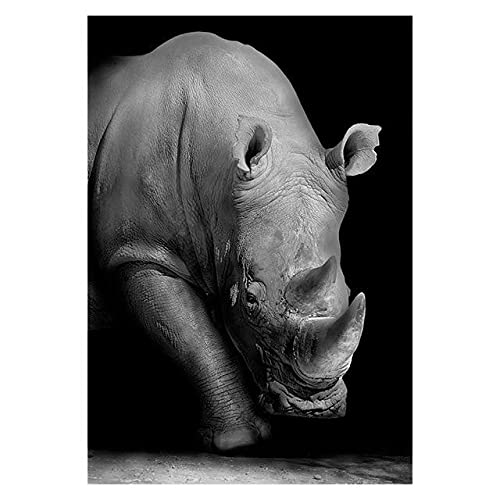 Shukqueen Adults Paint by Numbers, DIY Painting Kit for Beginner, Home Decoration, Black and White Rhino, 16X20 Inch, Frameless