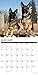 Just German Shepherds 2020 Wall Calendar (Dog Breed Calendar)