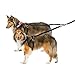 ThunderLeash No-Pull Dog Leash for 2 Dogs