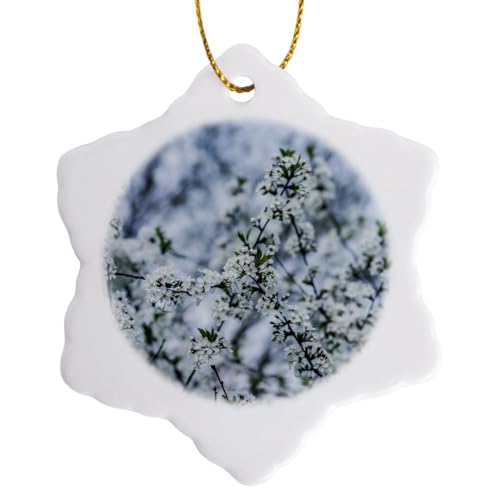 3dRose Cherry Trees in Full Bloom Snowflake Ornament, 3"