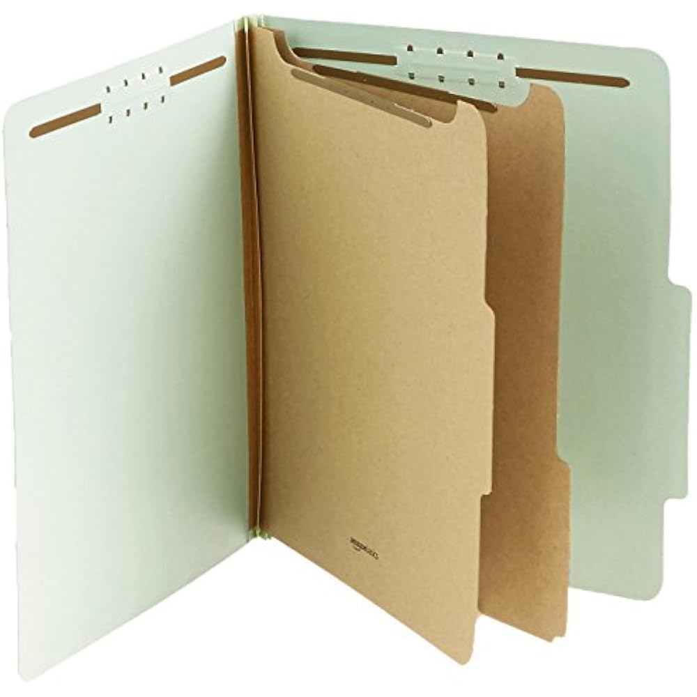 Basics Pressboard Classification File Folder With Fasteners, 2 Dividers