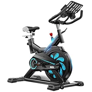 LNDDP Exercise Bike Indoor Cycling,Adjustable Handlebars & Seat,Smart App Computer Reads Speed Distance Time Calories Heart Rate Sensors,Spinning Bike for Home Use Cardio Workout,Excersize Bike