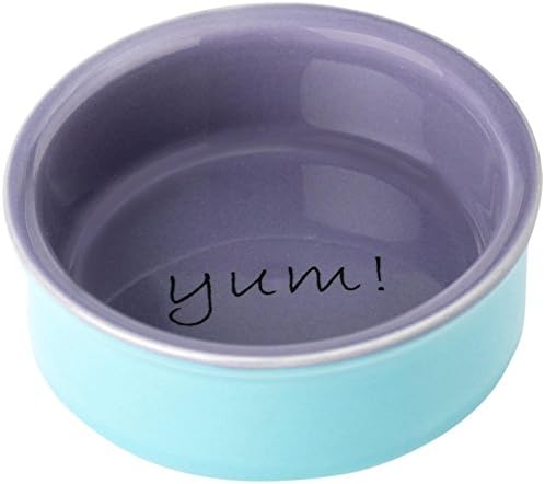 Petrageous Designs Yummy Time, 3.25 Bowl, Blue/Purple, 2 Oz