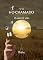 Livro PLANO DE VOO: #O CHAMADO