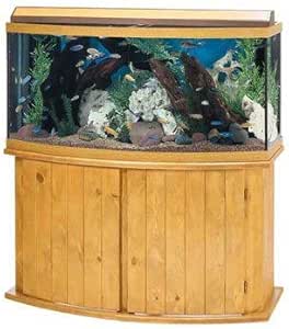 bow front aquarium