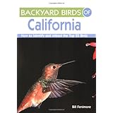 Backyard Birds of California: How to Identify and Attract the Top 25 Birds