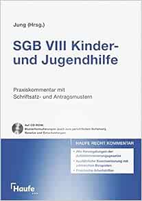 SGB VIII - Kinder- und Jugendhilfe: 9783448065329: Amazon.com: Books