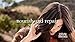 Garnier Hair Care Whole Blends Repairing Value Pack
