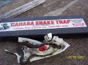 (.1 Pk) Snake Trap Small with 4 Catch Inserts/Reusable, Made in USA