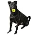 Hyper Pet Tennis Balls for Dogs (Safe Ball for Exercise and Training) Interactive Dog Toys work with Hyper Pet K9 Kannon K2 Dog Ball Launcher - 4 Pack 2.5