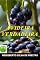 Livro A Videira Verdadeira