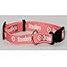 Pittsburgh Steelers Pink Medium Pet Dog Collar (Medium)