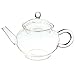 KINGSO Heat Resistant Elegant Glass Teapot with Glass Filter 250ml / 8oz