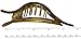 Parcelona French Wide Beak Celluloid Large Side Slide Hair Clips Volume Strong Hold No Slip Grip Girls Hair Claw Clips for Women Durable Styling Paris Hair Accessories, Made In France (Light Shell)