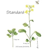 Wisconsin Fast Plants Standard Seed, Pack of 50