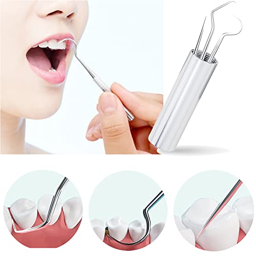 Dental Teeth Pick Stainless Steel Toothpick Set Reusable Tooth Stains Remover Dental Tool Teeth Cleaning Tools with Holder for Outdoor Picnic, Camping, Travel (3PCS/Set,)