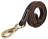 Beirui Genuine Leather Dog Leash - 5 Foot by 5/8 Inch - MultiPurpose Dog Leads - Training & Walking - Best Choice for Pitbull Mastiff etc. Large Macho Dogs,Brown