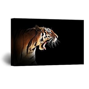 Canvas Wall Art - A Tiger on Black Background - Giclee Print Gallery Wrap Modern Home Art Ready to Hang - 12x18 inches