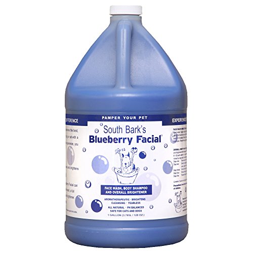 ShowSeason Blueberry Facial, 1 gallon