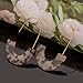 Acrylic Statement Earrings Tortoise Shell Earrings Fashion Jewelry Big Hoop Drop Earrings For Women