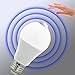 BRTLX PIR Motion Sensor LED Bulb A19 13W E26 3000K Warm White Auto On/Off Night Lights Smart Motion Activated Security Light Bulb for Stairs Basement Garage Yard Corridor Pack of 2