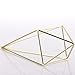 NCYP Tillandsia Air Plants Holder Freestanding Hanging Matte Golden Quadrilateral Pyramid Teardrop Shape Geometric Flowers Rack for Wedding Wall Decor 10 inch (No Plants)