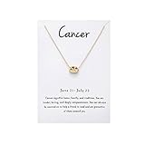 Snowpra 12 Constellation Pendant Necklace Astrology Gold Tone Chain with Message Card