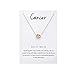 Snowpra 12 Constellation Pendant Necklace Astrology Gold Tone Chain with Message Card