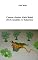 Livro Contos e lendas Alain Bodel III (Crocodiles vs Tubarões)