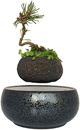 magnetic levitation potted plant floating air bonsai tree pot garden beautiful gifts for men