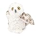 Wild Republic Snowy Owl Plush, Stuffed Animal, Plush Toy, Gifts for Kids, Cuddlekins 8 Inches