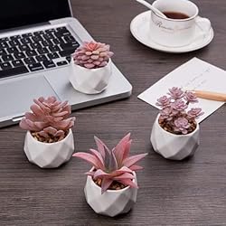 VIVERIE Mini Succulents Plants Artificial in