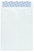Columbian Tyvek Envelopes, 10x13 Inches, White, 100 Count (CO802)