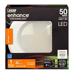 Feit Electric LED 4 Inch Recessed Lighting, 50W