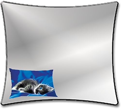 Magnetic School Locker Mirror: Blue Eye Kitten