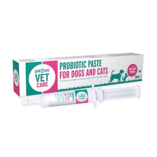 PDSA Vet Care Probiotic Paste for Dogs and Cats 64ml Buy Online in