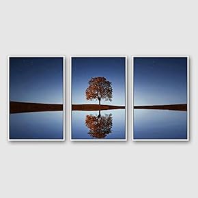 Framed Canvas Wall Art for Living Room, Bedroom Beautiful Nature Norway Landscape Canvas Prints for Modern Home Decoration Ready to Hang - 16"x24"x3 Panels