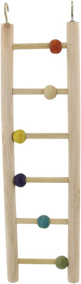 Best Toys Ladder For Conure